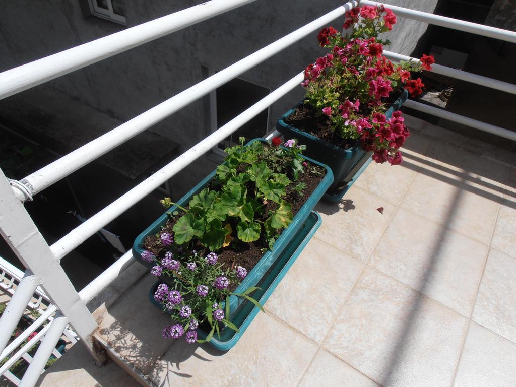Apartmani Zeljko Vujovic Budva Ngoại thất bức ảnh